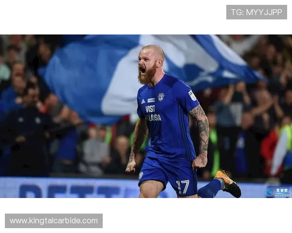 卡迪夫城足球俱乐部的发展历程与未来展望分析