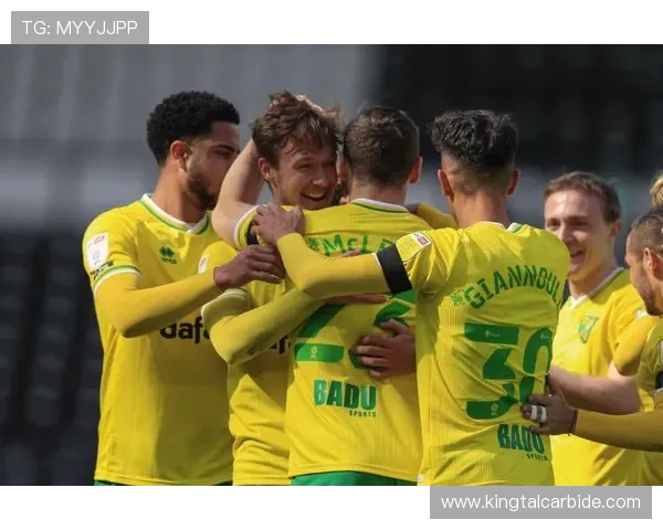 诺维奇俱乐部迎来新阶段阵容调整与赛季目标全面解读最新动态前瞻